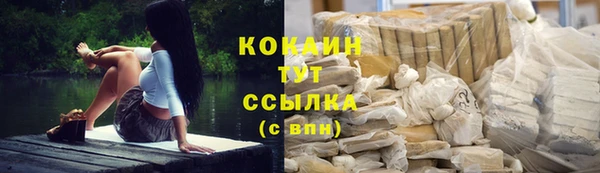 PSILOCYBIN Богородицк