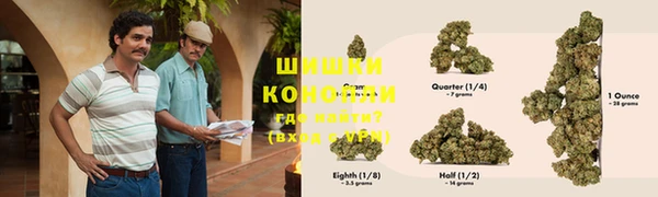 PSILOCYBIN Богородицк