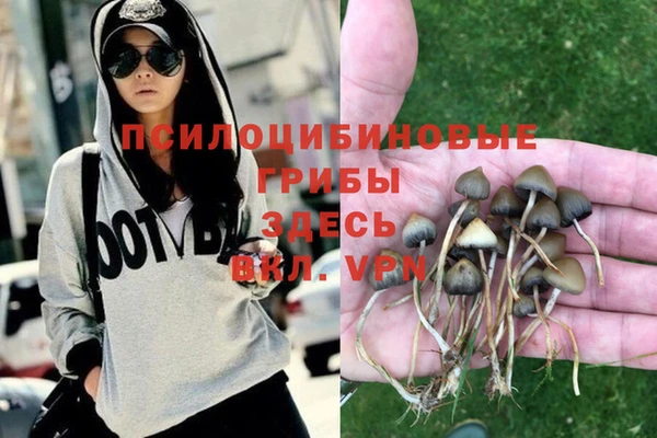 мескалин Богданович