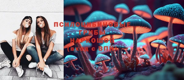 дурь Бугульма