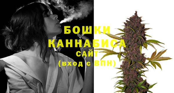 мескалин Богданович