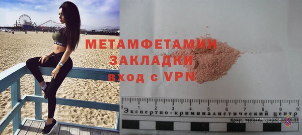 прущие грибы Няндома
